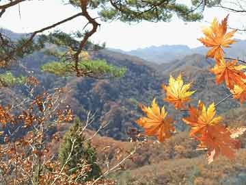 身份证改小10岁需要多少费用身份证年龄修改费用及相关事项探讨