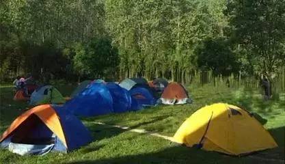 游戏专题 第96页