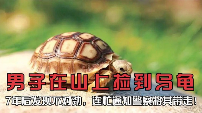 最新资讯 第95页