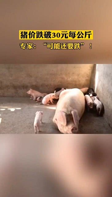 港澳新闻 第92页