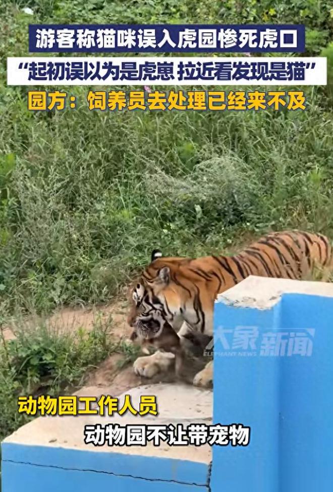 娱乐生活 第4页
